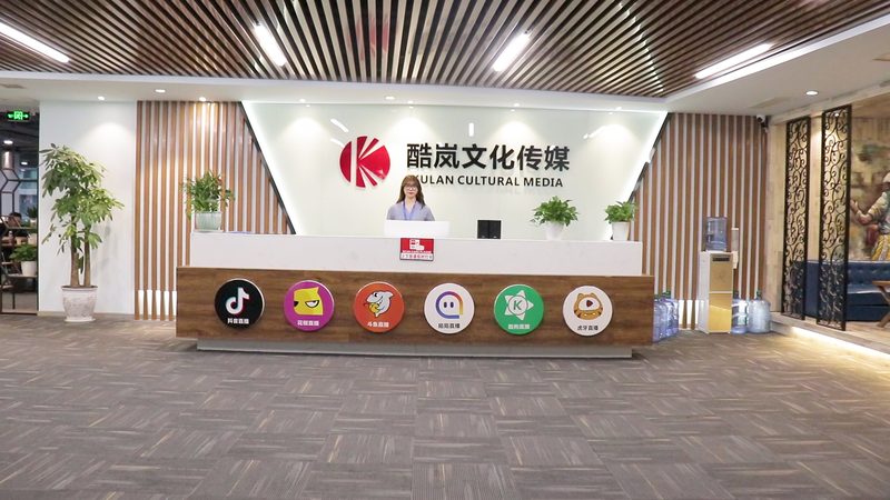 TVC广告片制作报价，揭秘成本构成与影响因素